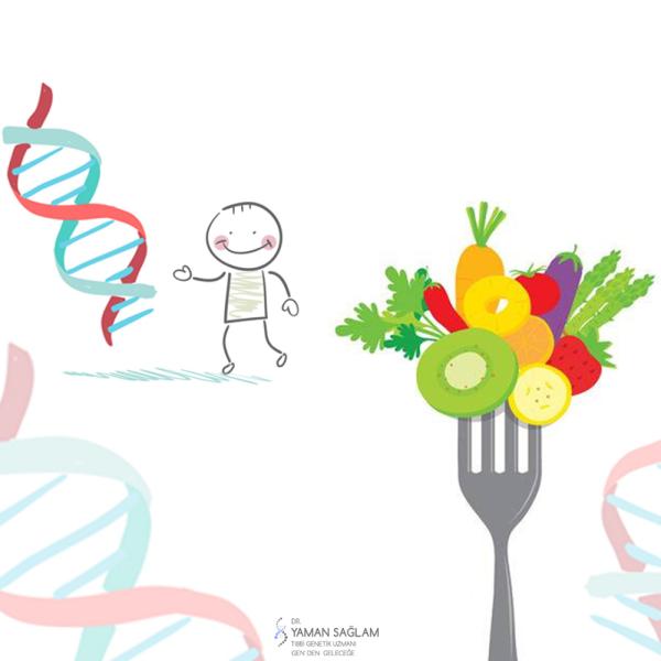 Diyet’in Genetik ile İlişkisi Nedir?