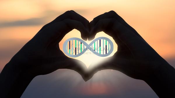 Kalp Sağlığında Genetiğin Rolü ve Yapılması Gerekenler